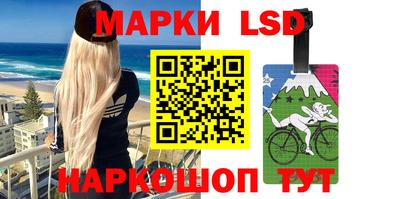 прущие грибы Будённовск