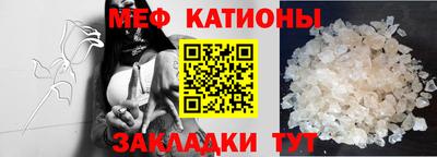 прущие грибы Будённовск